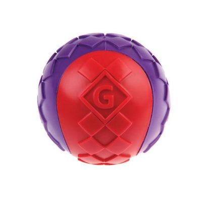 GiGwi Ball Squeaker Dog Toy