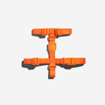 zee dog neopro harness, Neopro Tangerine H-Harness, zee dog neopro harness, Neopro H Harness – Zee.Dog, NeoPro Tangerine Dog H-Harness