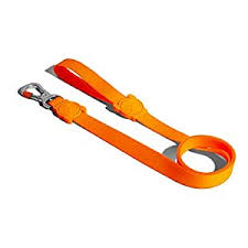 NeoPro Tangerine Dog Leash, Neopro Tangerine Leash – Zee.Dog, ZeeDog Neopro Tangerine Leash, Neopro Tangerine Leash