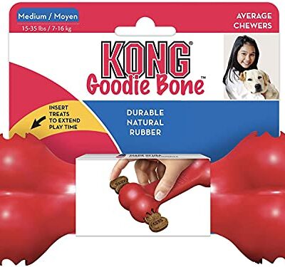 KONG Puppy Goodie Bone Dog Toy Small